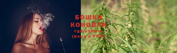 СК Навашино